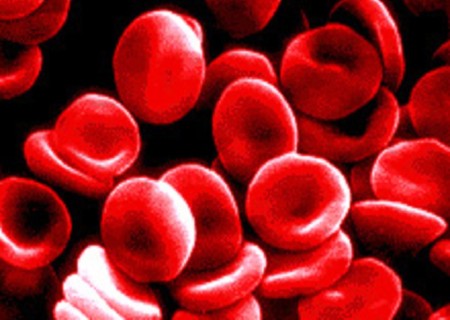 blood_cells.JPG