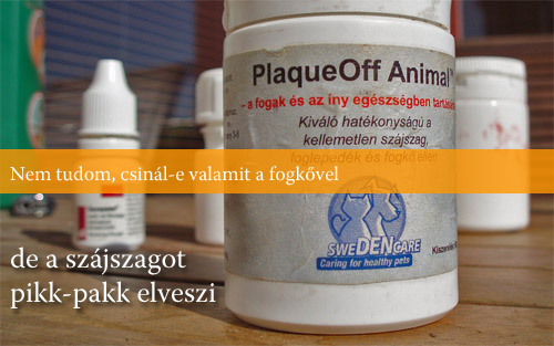 PlaqueOff Animal, a fogkő elleni svéd alga kutyáknak