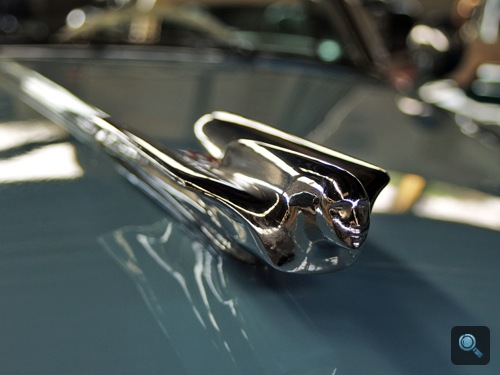 1949-es Cadillac orrdísze