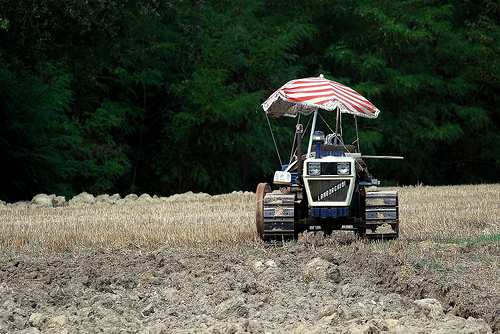 Lamborghini traktor a mezőn. Fotó: Don Scheunert/Flickr