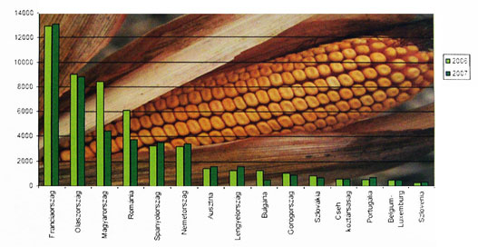 EU-tagállamok kukoricatermelési adatai 2006-2007-ben